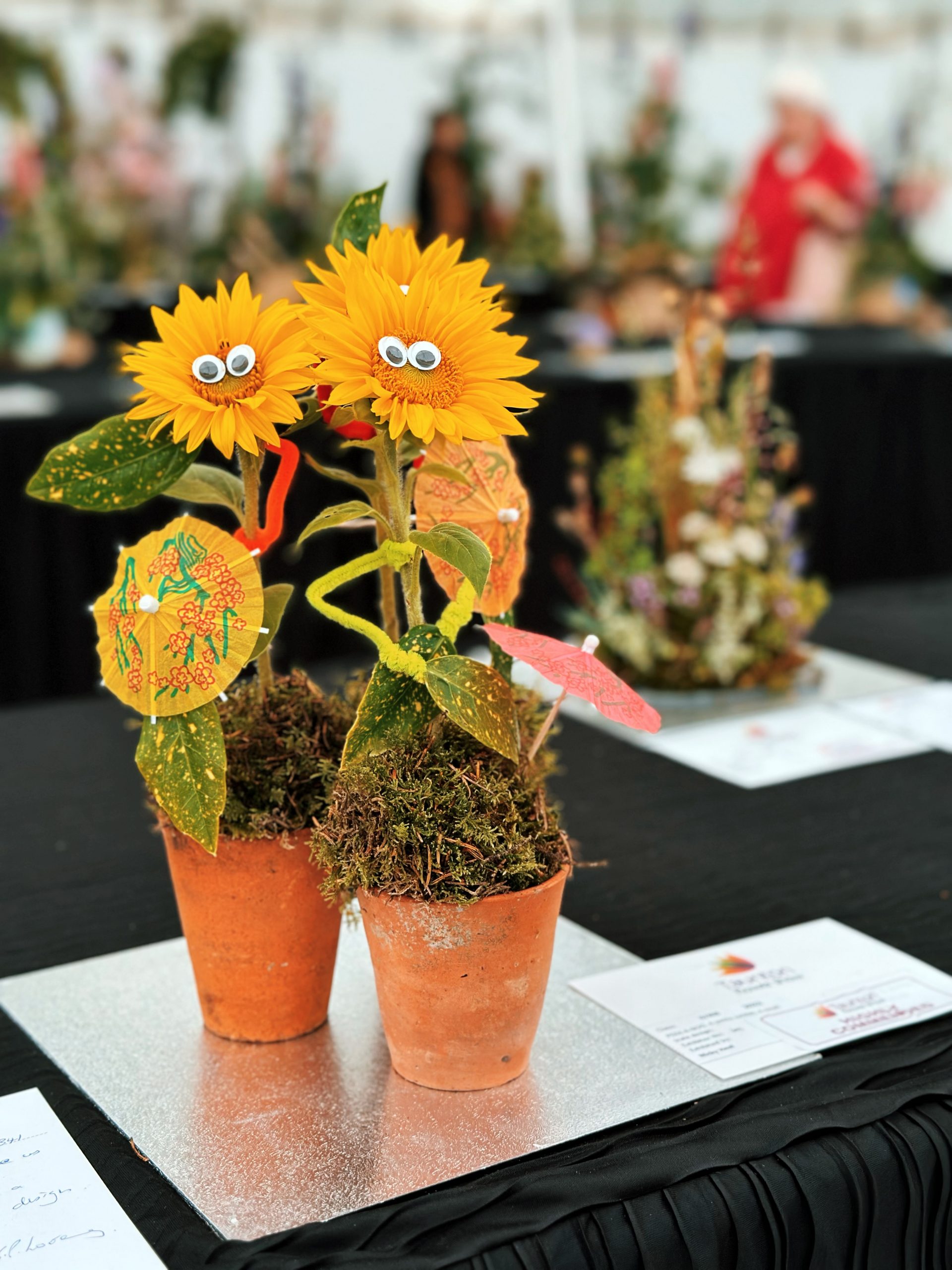 A display of sunflowers from the children section in the Competition marquee. Small sunflowers have funny googly eyes and pipe cleaner arms.