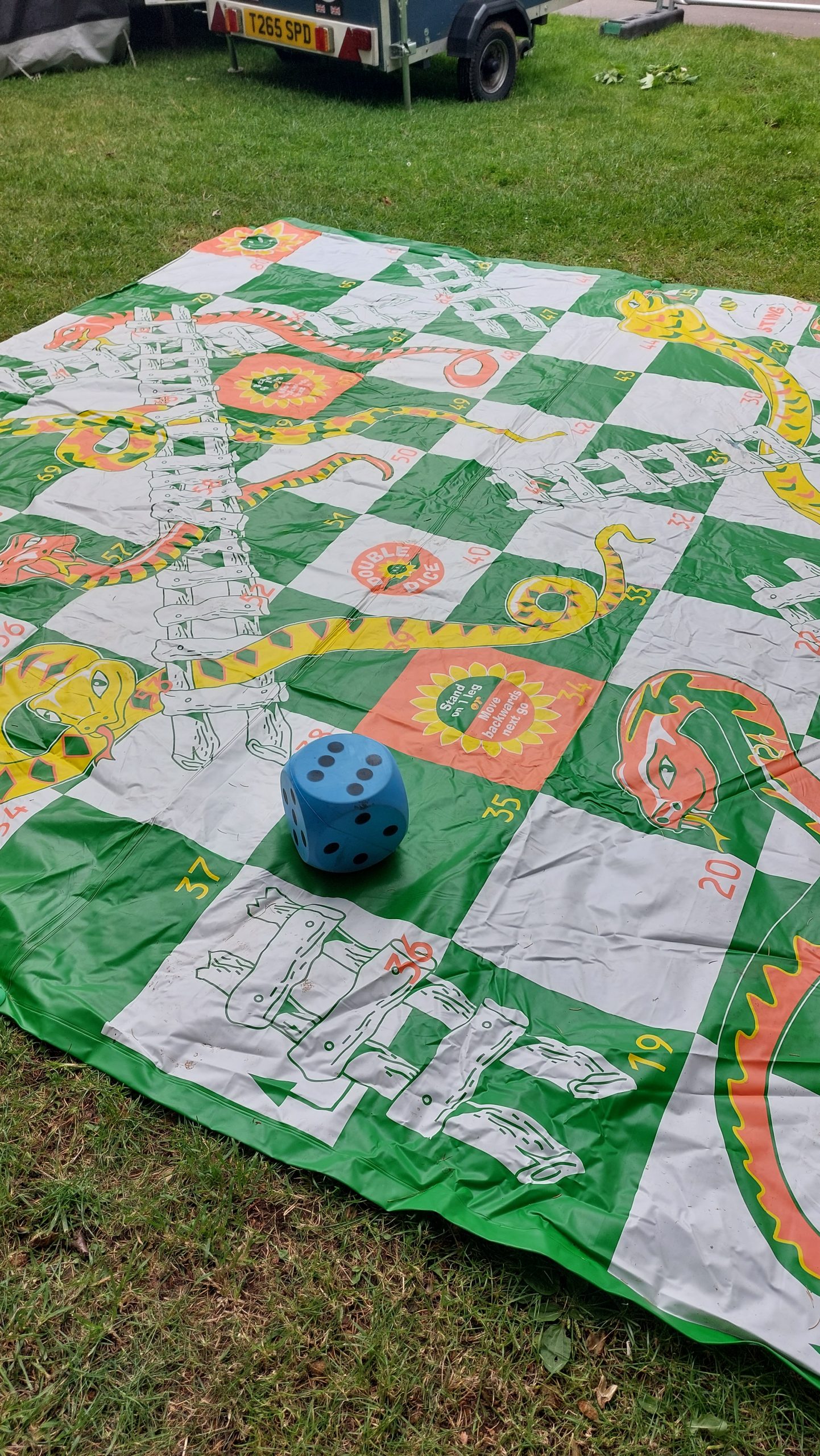 a game of snakes and ladders on the grass in the children's area at Taunton Flower Show