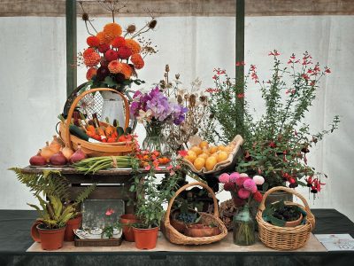 Master Gardener display with plants, vegetable and flowers enters into the Display classes.