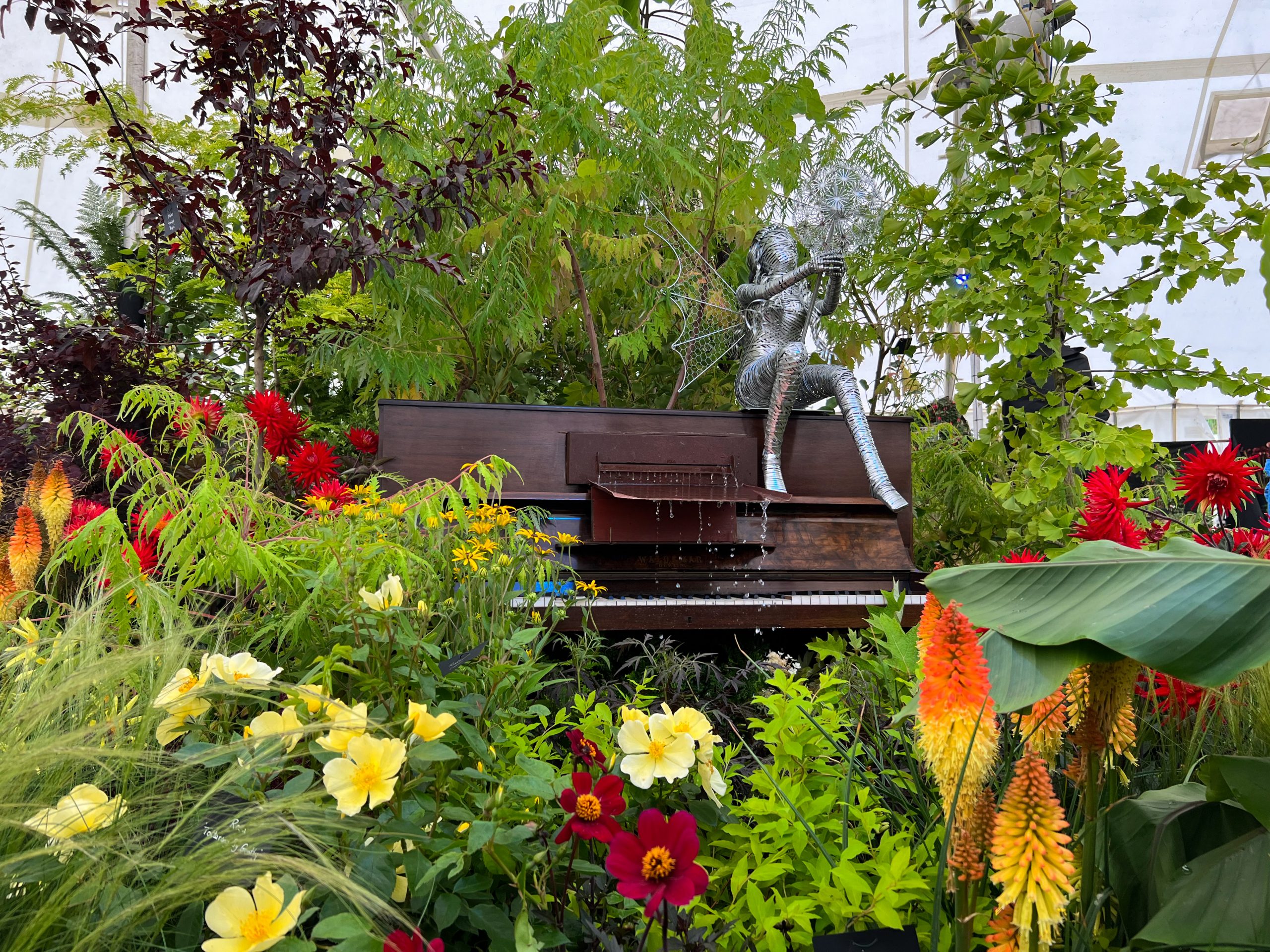 Monkton Elm Garden Centre - Floral Display
