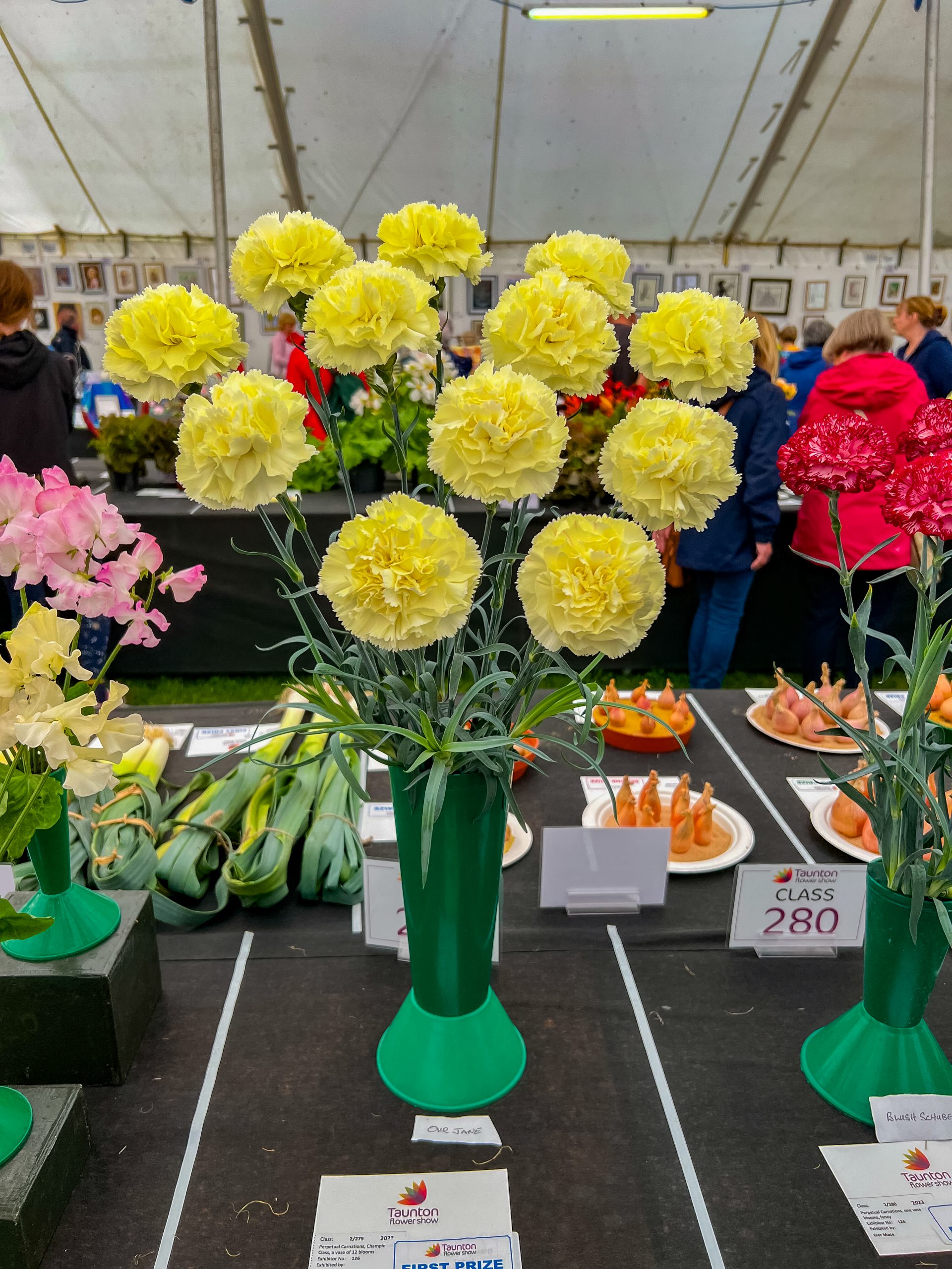 Some yellow perpetual carnations with a first prize card in the Compeittion Marquee