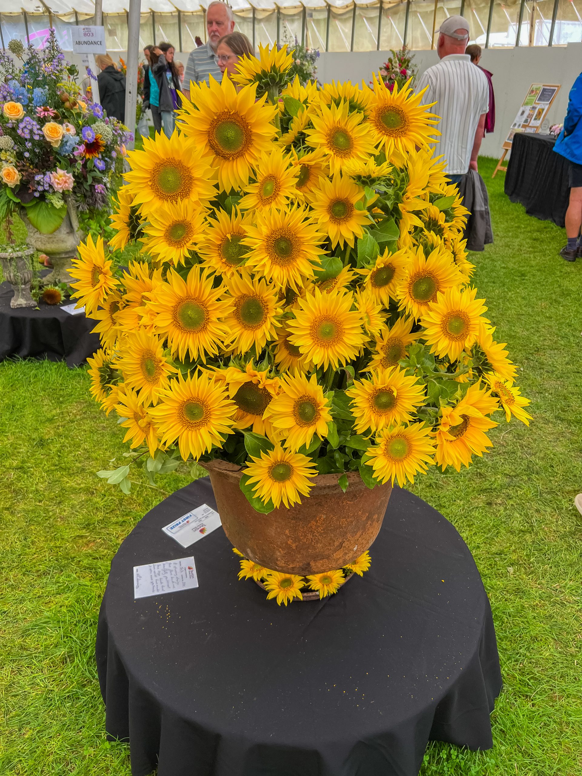 Sunflower display in Floral Art display in the Competition Marquee.