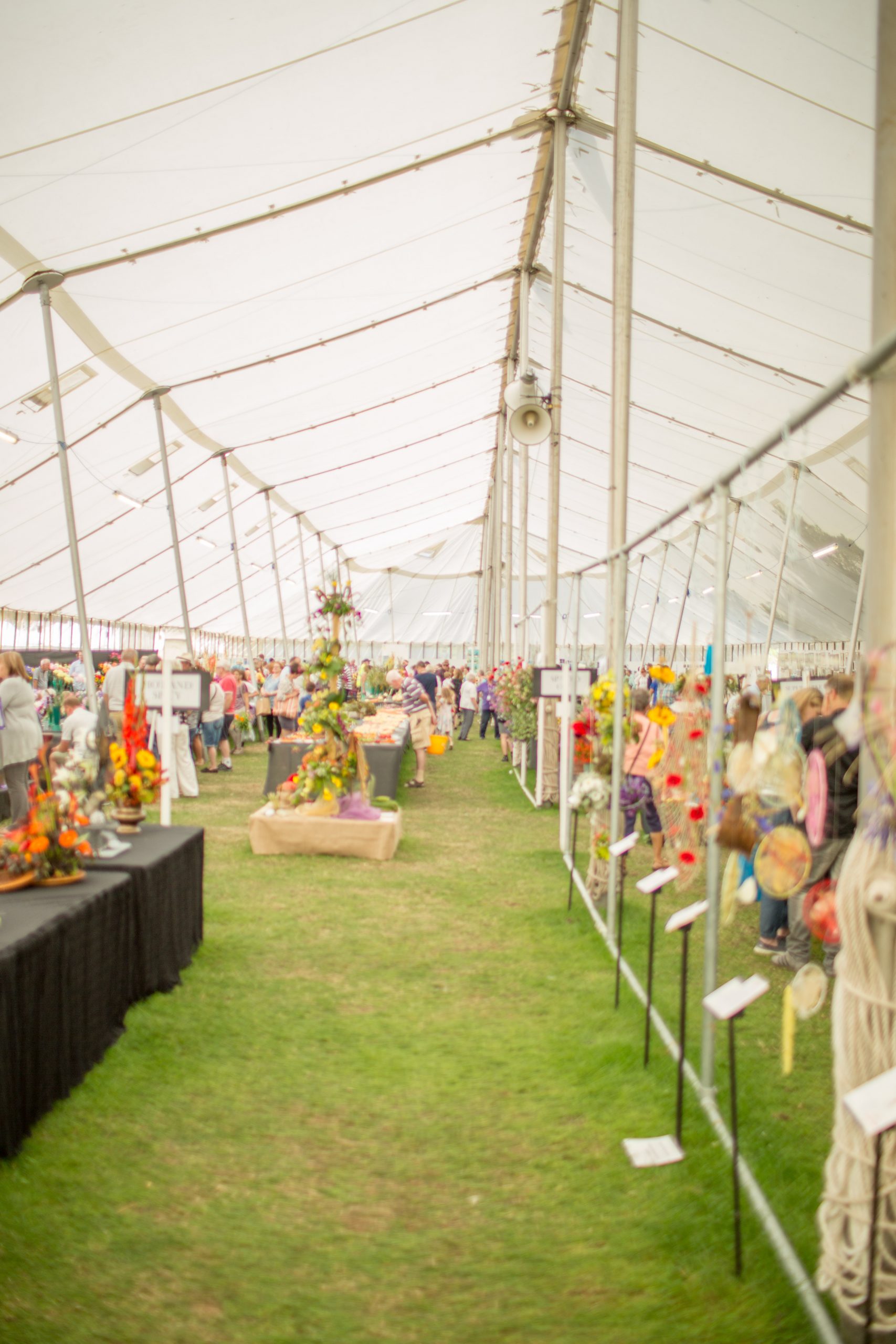 View of the inside of the Competition Marquee at Taunton Flower Show