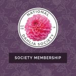 nds-society-membership-2025