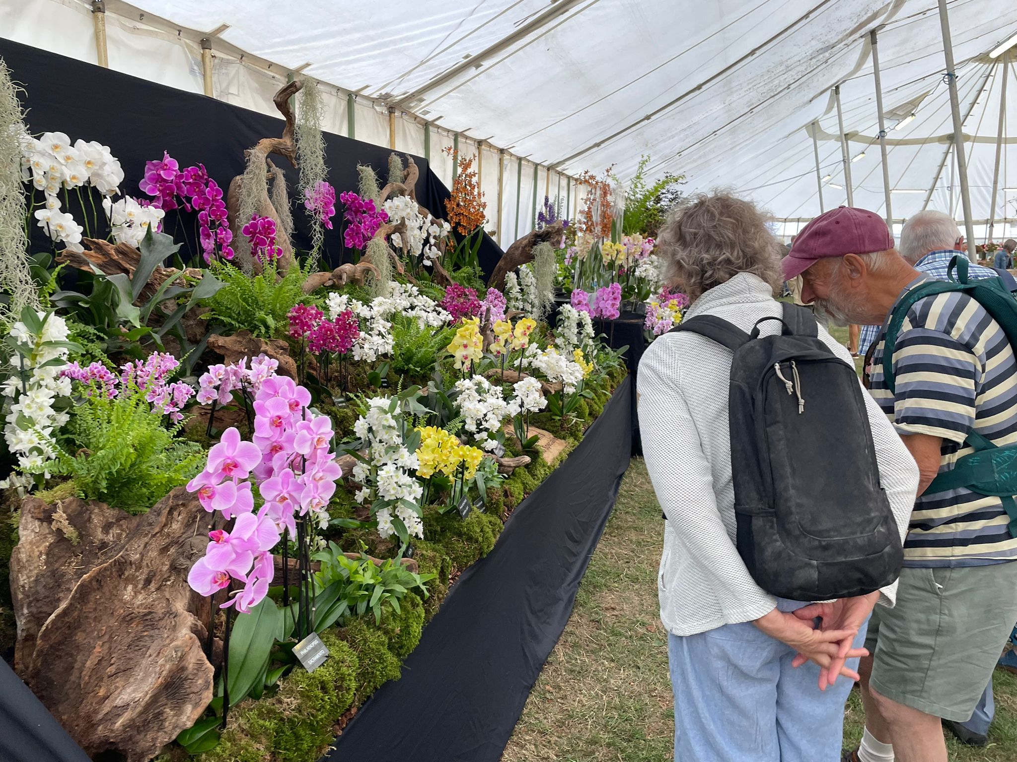 WhatsApp Image 2025-08-01 at 10.42.44_474f2a63